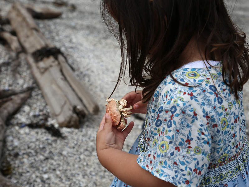 Child on the sea shore