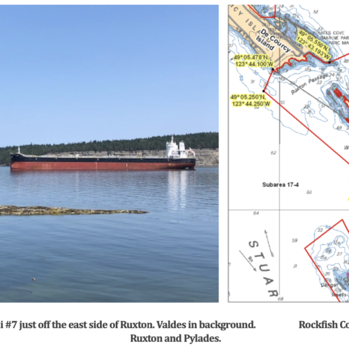 Two freighters just off the east side of Ruxton and map of Rockfish Conservation Area boundaries around Ruxton and Pylades. Photo by Jane Hurlburt