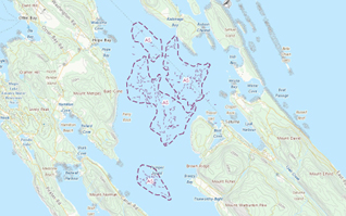 Ships at anchorages cause significant seafloor damage as indicated by seabed scouring in Plumper Sound.