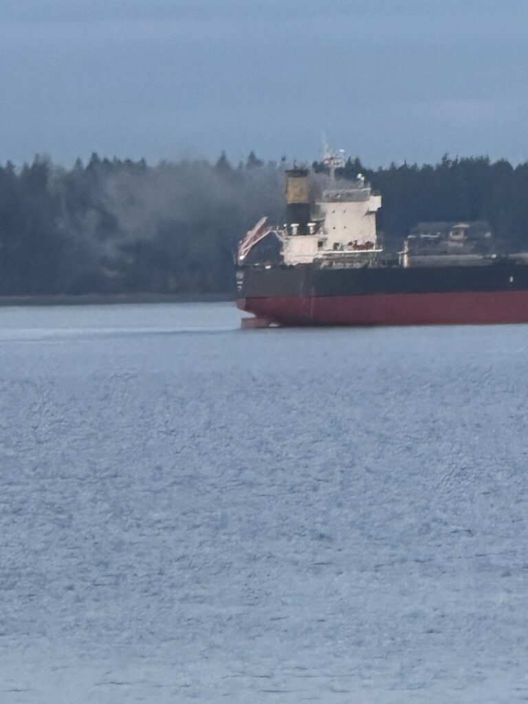 Fire on board the bulk cargo ship KM Keelung anchored at Trincomali No. 9 near DeCourcy Island provided by DeCourcy Anchorage Watch