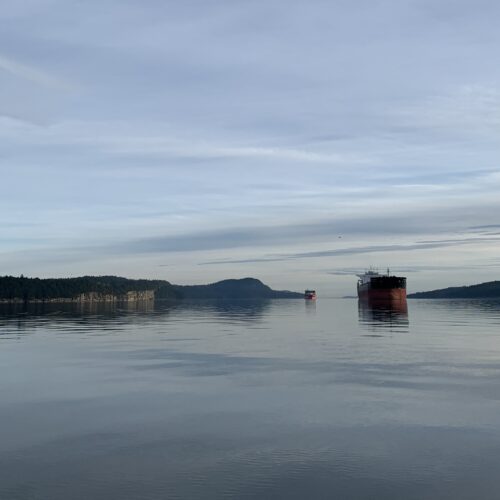Freighters west of Valdes